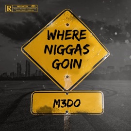 Where N****s Goin? M3DO