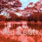 Red & Black - GrungeFloyd lyrics