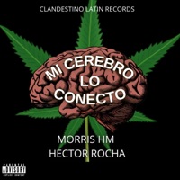 Mi Cerebro Lo Conecto (feat. Morris HM) - Single - Héctor Rocha