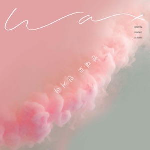 contradiction - Single