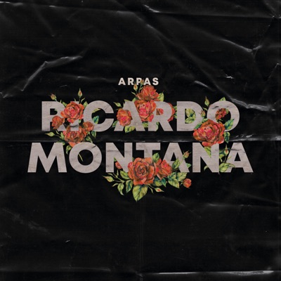 Ricardo Montaña
