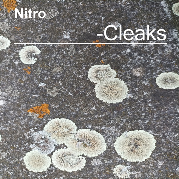 Cleaks - EP