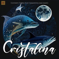 Cristalina (feat. Samantha Machado) - Single - Gustavo Terra & REC'n'Play