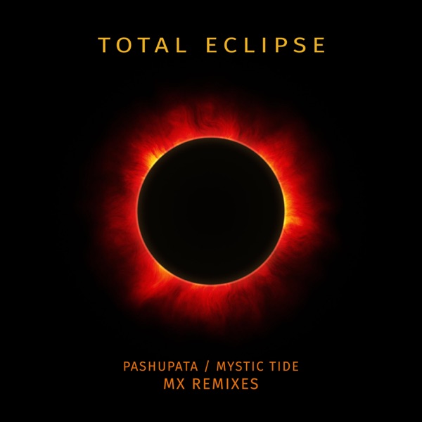MX Remixes - Single
