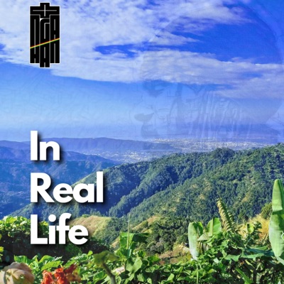 In Real Life (feat. Nga Han) - Single