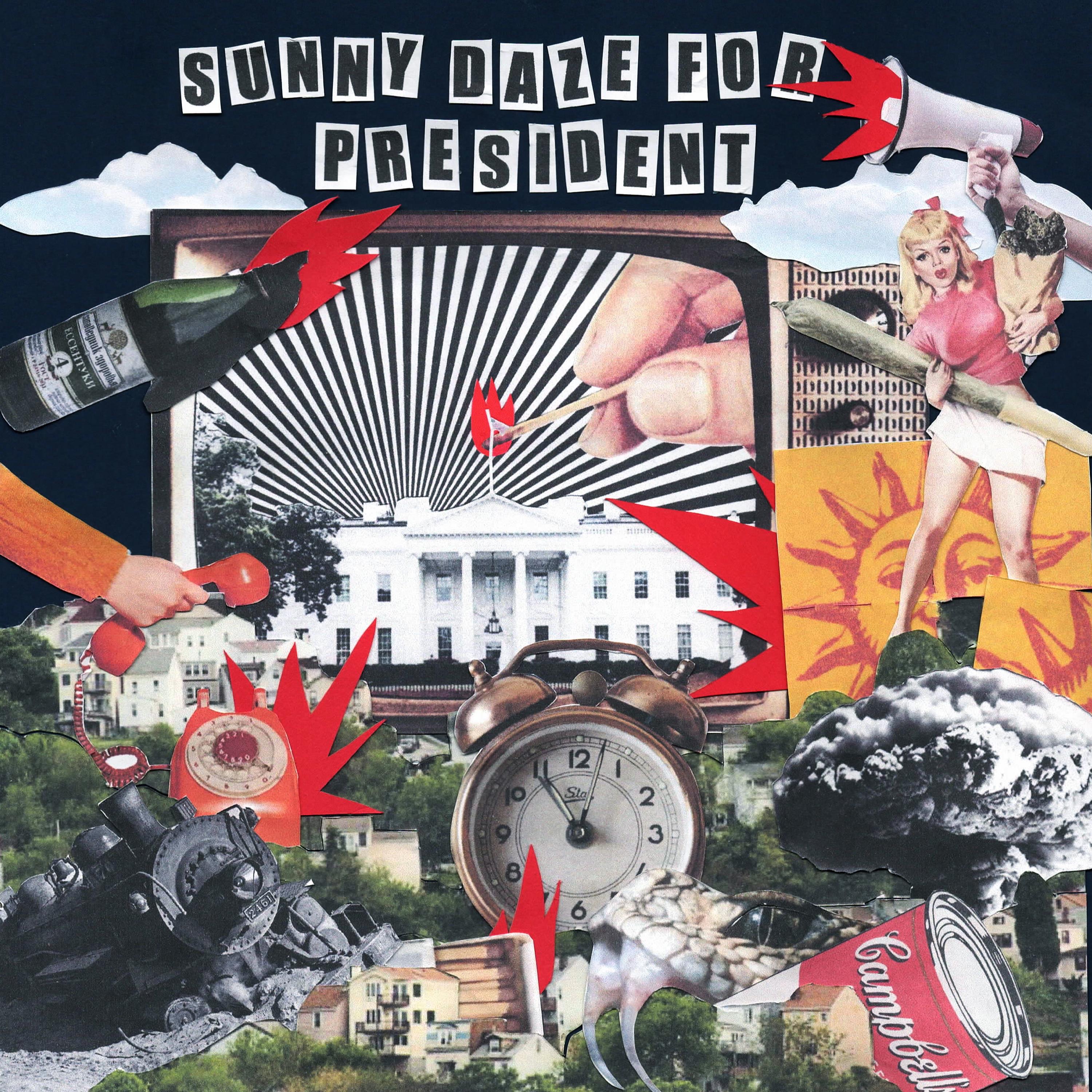 Sunny Daze for President