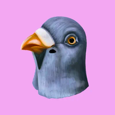 Listen to Still Pigeon, watch music videos, read bio, see tour dates & more!