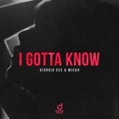 I Gotta Know (Extended Mix) artwork