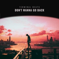 Don't Wanna Go Back - Single - Terminal Beats