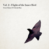 Flight of the Inner Bird (feat. סיון טלמור) - Yehezkel Raz