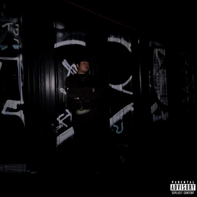 FALL IN LUV (feat. ICY BLACK) - Single