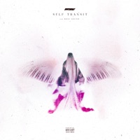 self transit (feat. Roxi Sound) - Single - Fadent