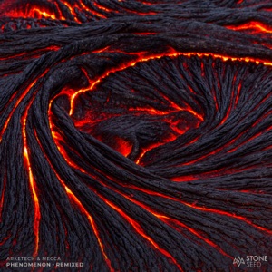 Phenomenon  Remixed - Single