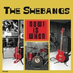 The Shebangs - Love In Vain