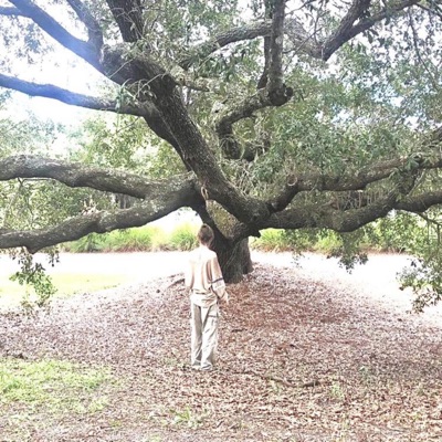 Fall (feat. Draf & Feardorian) - Single