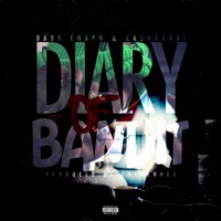Diary of a Bandit (feat. IAmBabyChapo & Prod.TDERenner) - Single - Ka$hRarri
