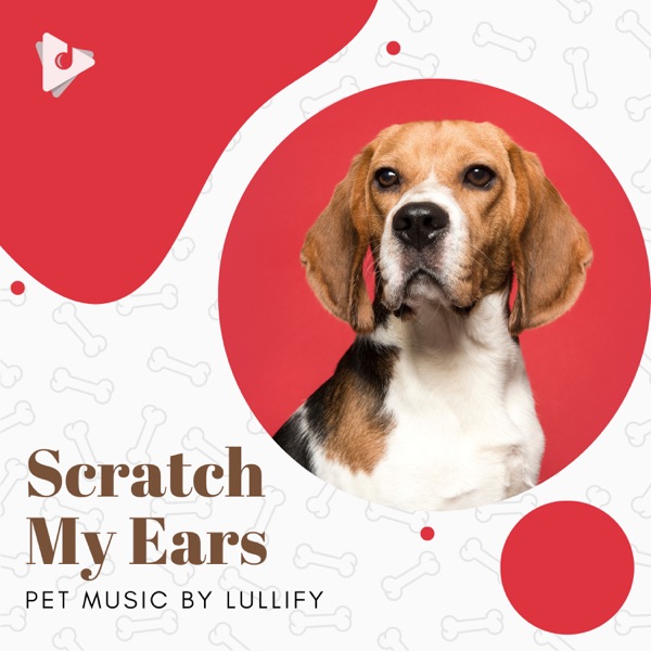 Scratch My Ears