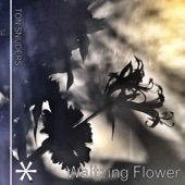 Waltzing Flower artwork