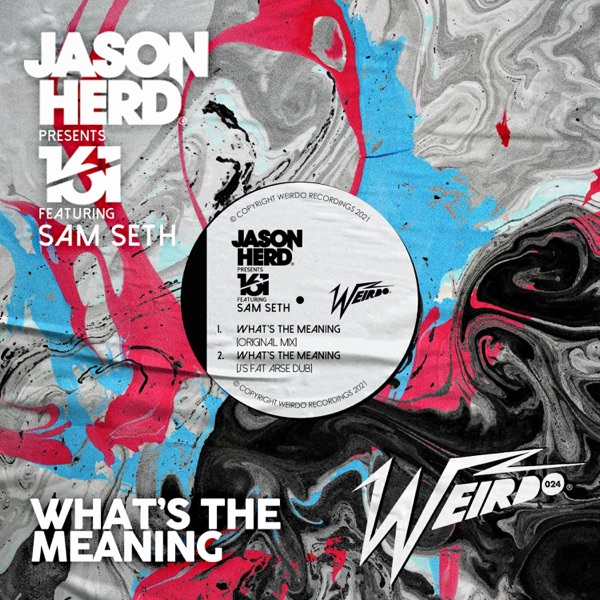 What's the Meaning (feat. Sam Seth) - Single