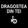 Dragostea Din Tei - Single