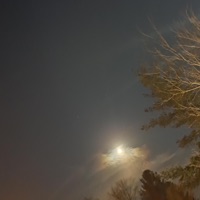 Moonflakes - Single - [stranded]