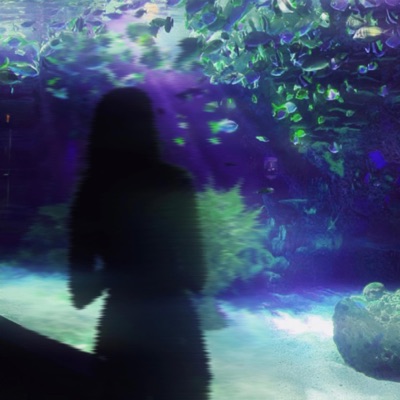 Am I Missing You? - Single