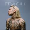 FRAGILI - Il Tre