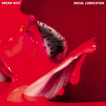 Social Lubrication album cover