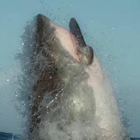 Jaws (feat. 1Sadboii) - Single - Stef