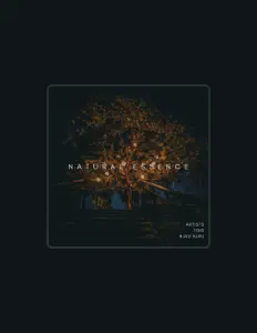 Ouve TISO, vê vídeos de música, lê a biografia, vê as datas da digressão e muito mais!