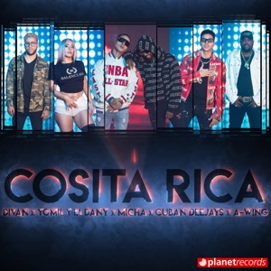 Cosita Rica (Mami Tú Estás Dura) [With el Micha, Yomil y el Dany, Divan, a - Wing]