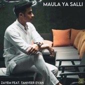 Maula Ya Salli (feat. Tanveer Evan) artwork