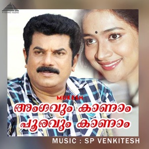 Ankavum Kaanam Pooravum Kaanam (Original Motion Picture Soundtrack) - Single