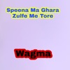 Speena Me Ghara Zulfe Me Tore - Single