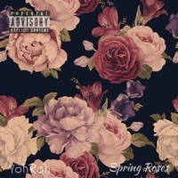 Spring Roses - Single - YohRoh