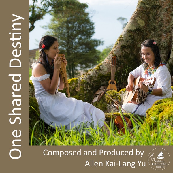 iTunes Artwork for 'One Shared Destiny - Single (by Allen Kai-Lang Yu)'