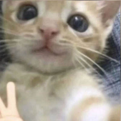 Ni en Pintura - Single