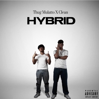 HYBRID