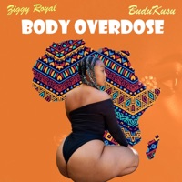 Body Overdose (feat. Budukusu) - Single - Ziggy Royal