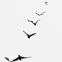 Daydream - Single - Gonhills