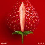 VAUNDY - Omokage (self cover)