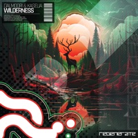 Wilderness - Single - Dalmoori & Kaselia