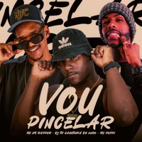 Vou Pincelar - Single - mc peppi, Mc 2M Rapper & DJ TH CANETINHA DE OURO