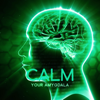 Calm Your Amygdala: Cure Anxiety Panic Attacks Naturally, Brainwave Frequencies, Amygdala Music - John Flow & Spiritual Music Collection