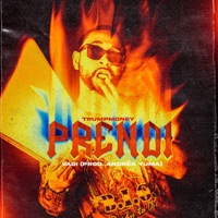 Prendi - Single - Vadi & andres yuma