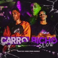 Carro Bicho (Slow) [Remix] [feat. Gebê] - Single - Haro Mc