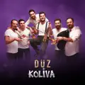 Düz