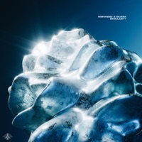 Singularity - Single - Fernandez & Silvera