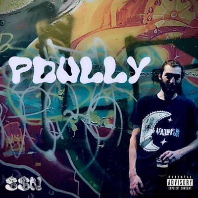 Dully Vol 1