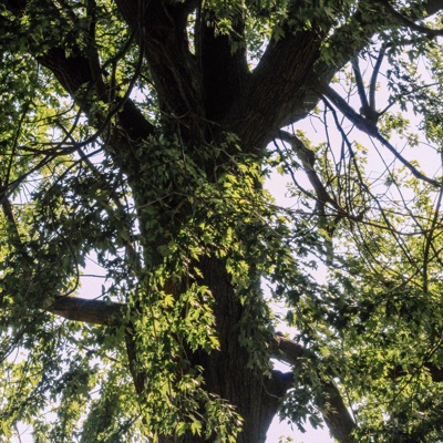 Wasted Time (feat. Rob Devious) - Single